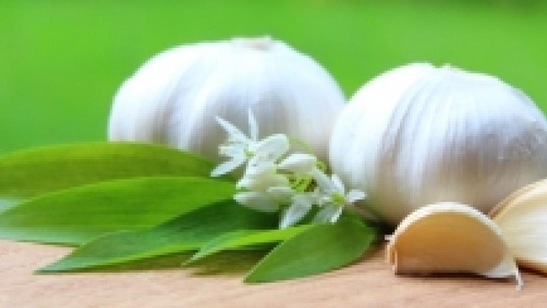 Knoblauch, Bärlauch & Zwiebel