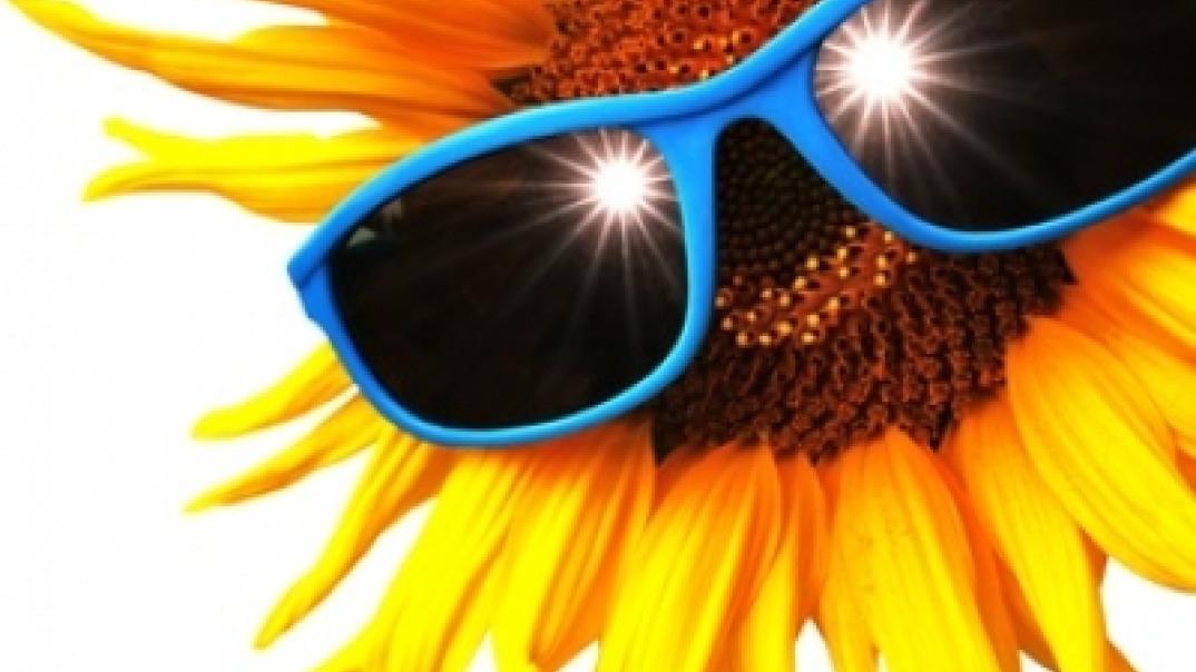 Vitamin D - das Sonnenvitamin!