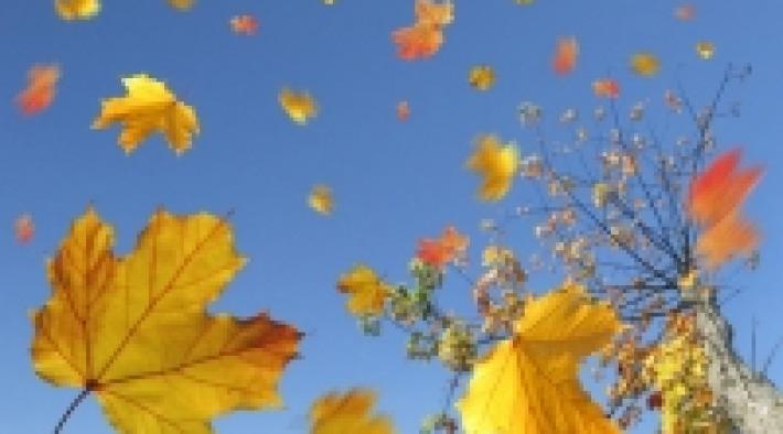 Herbst Blues oder Depression?