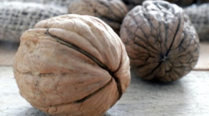 Vitamin B = Energielieferant & Nervennahrung!