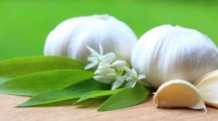 Knoblauch, Bärlauch & Zwiebel